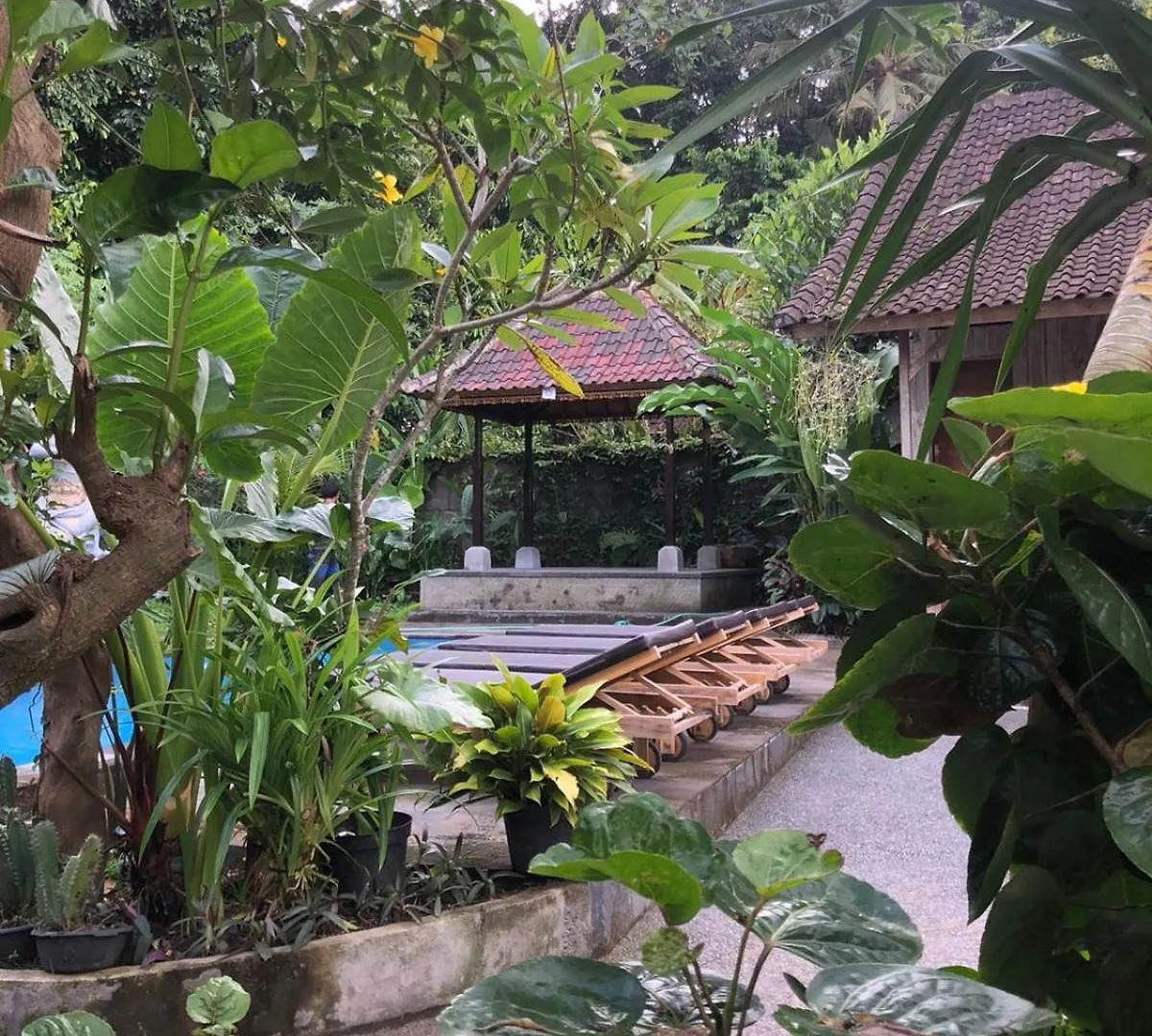 Apartment Santika Guest House Ubud  Indonesia