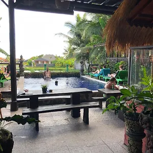 Paddy & Auberge de jeunesse